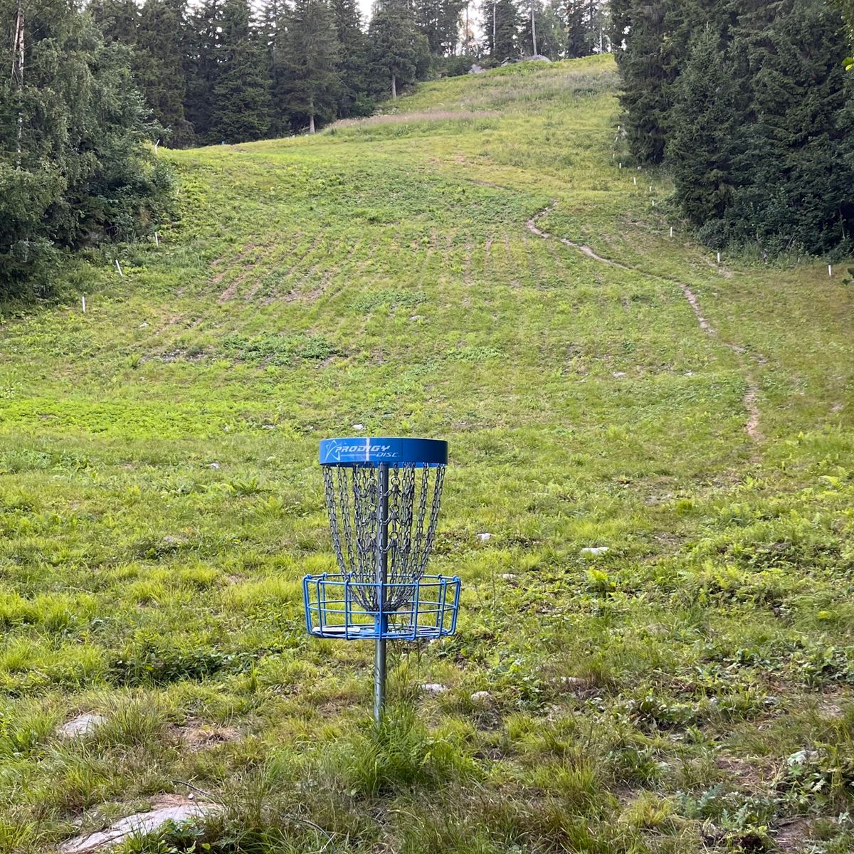 Hole 10 basket. 144m downhill fun<3