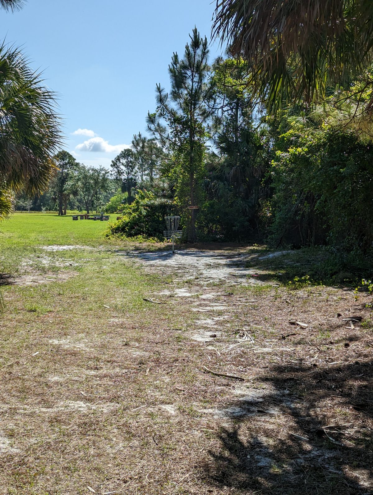 Hole 8 Basket