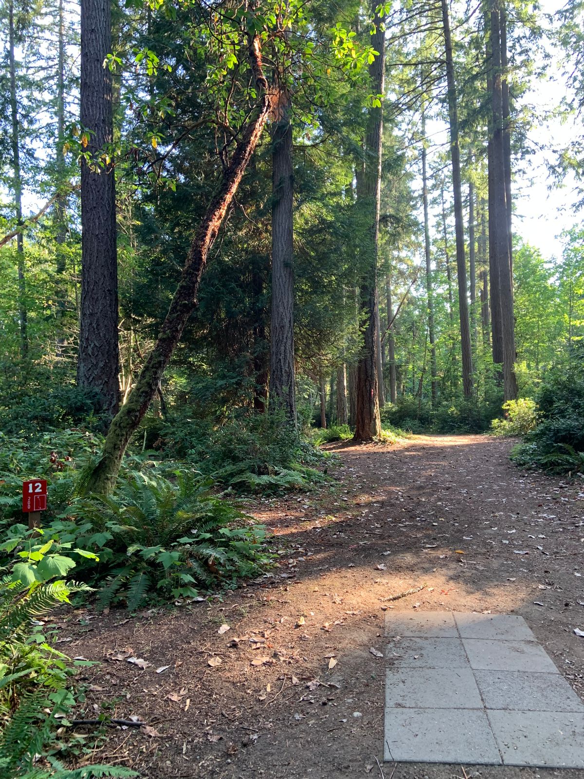 Hole 12 - Red Tee