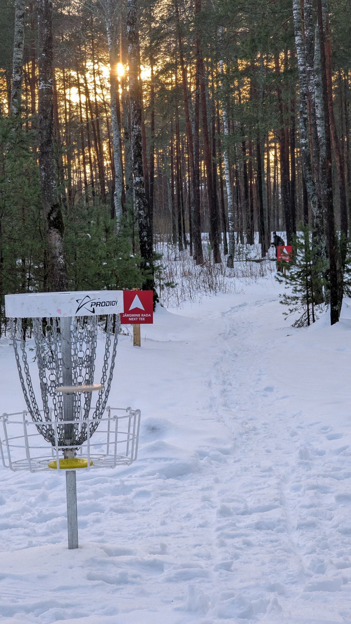 Hole 12 basket & signage.