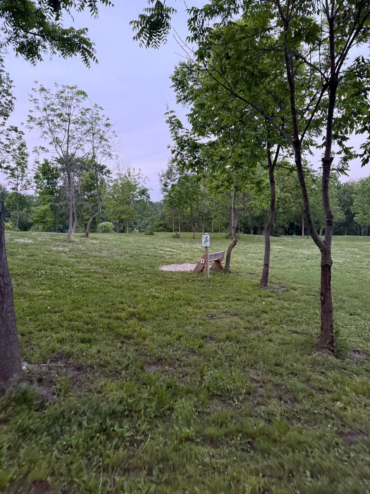 Hole 8 Tee
