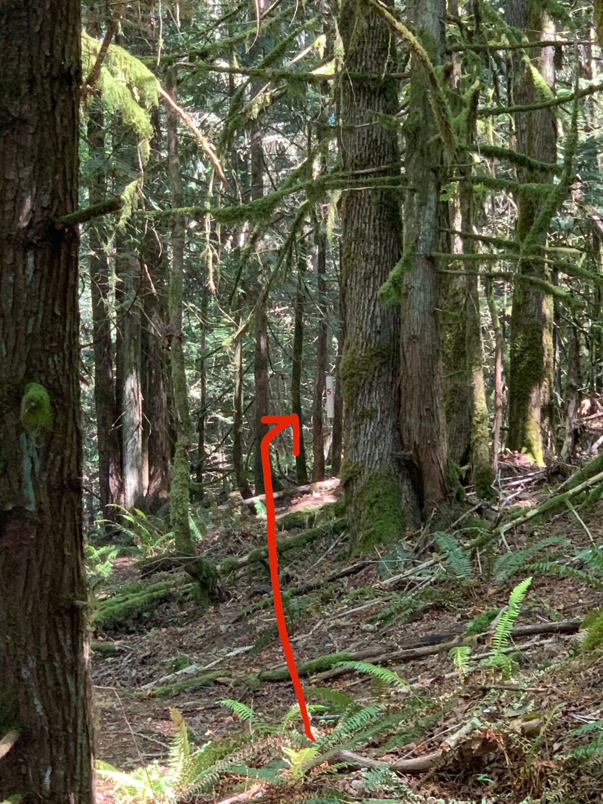 Hole 5: Portal