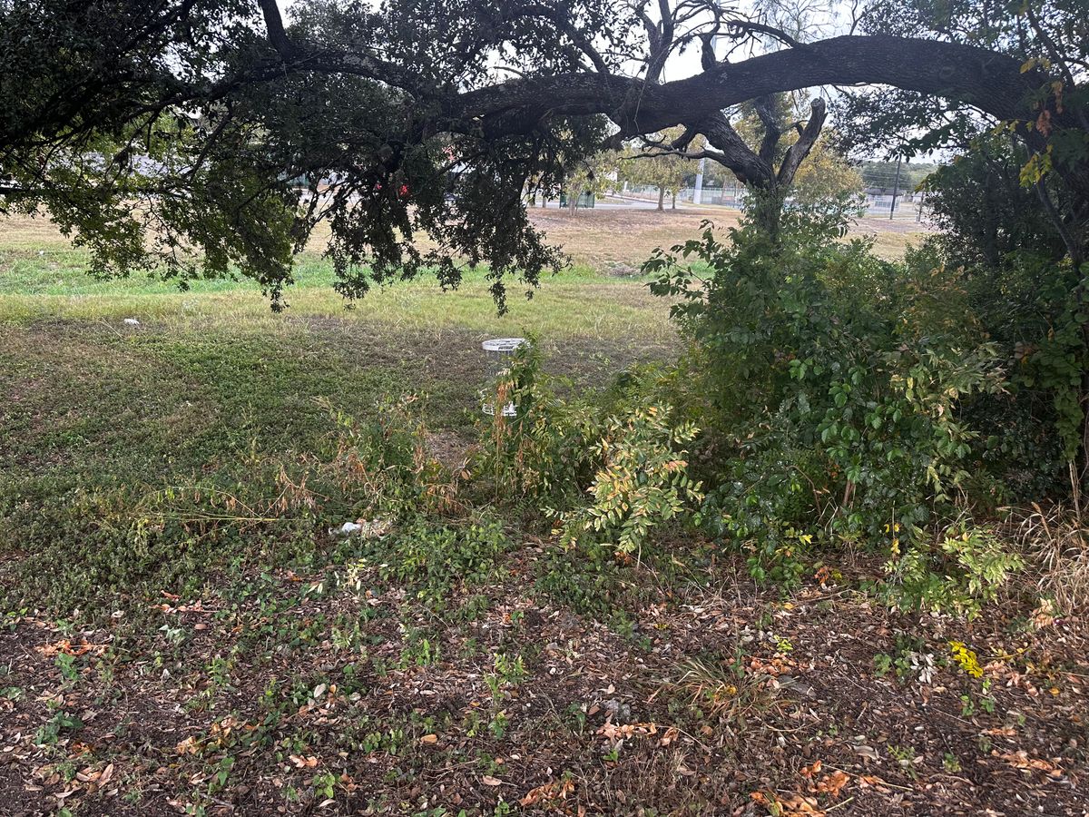 Ok, this is kinda fun even though it’s overgrown