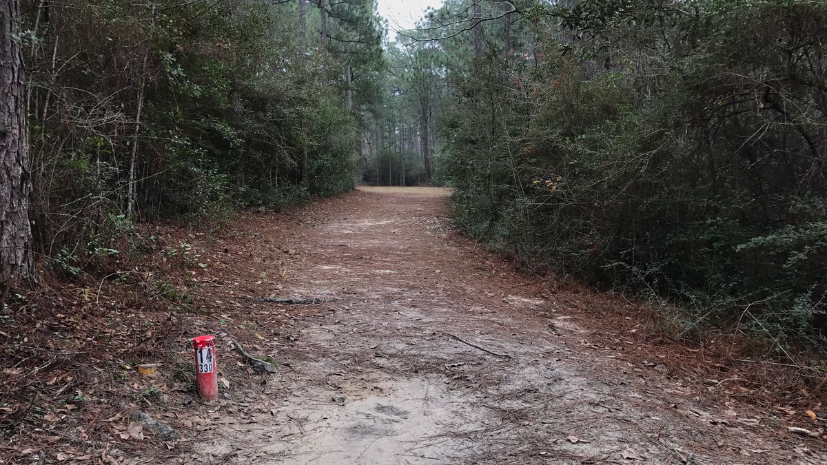 Hole 14