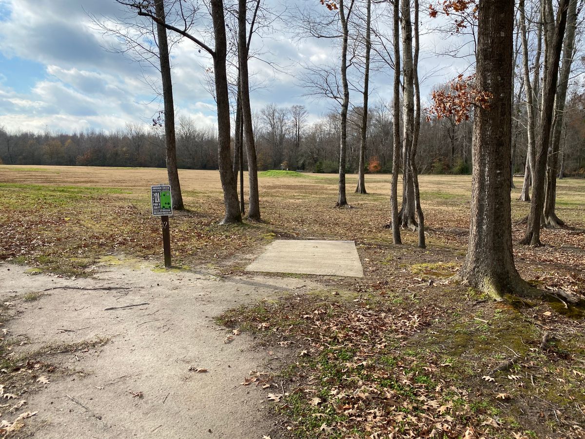 Hole 12 pad