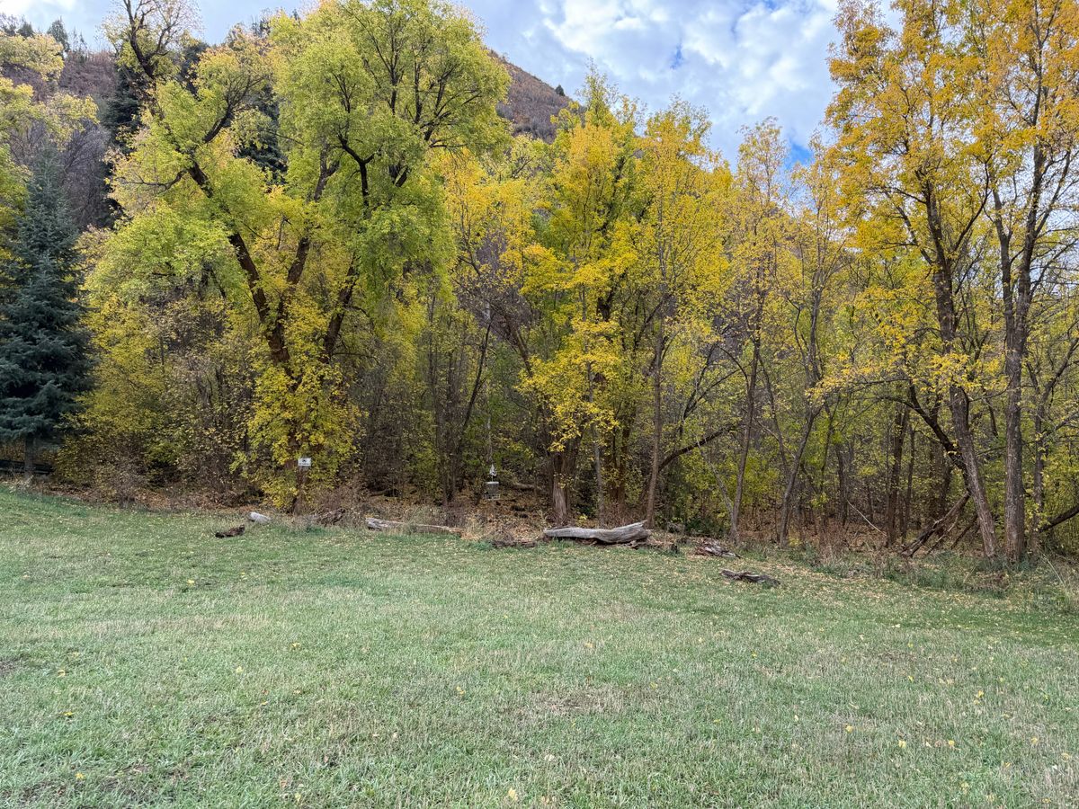 Fall leaves on hole 16