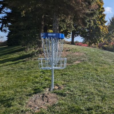 Hole 2 basket - Fall 2024