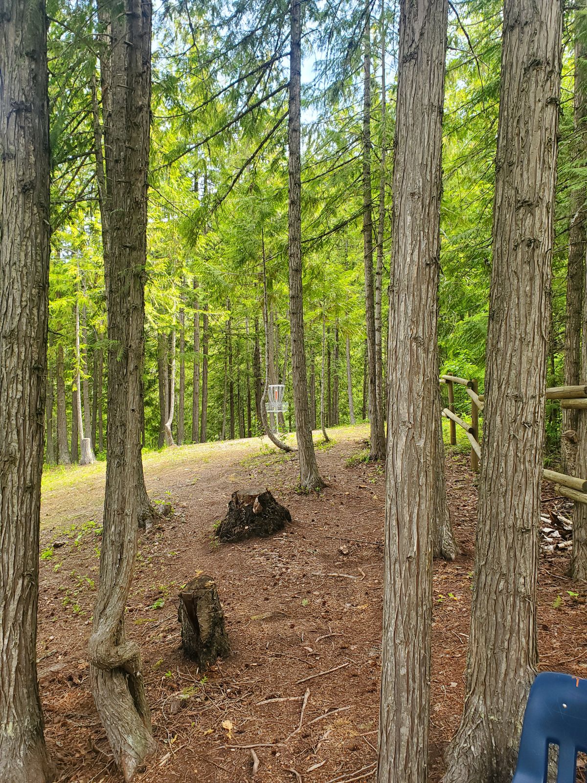 Basket 3 from 4 tee pad