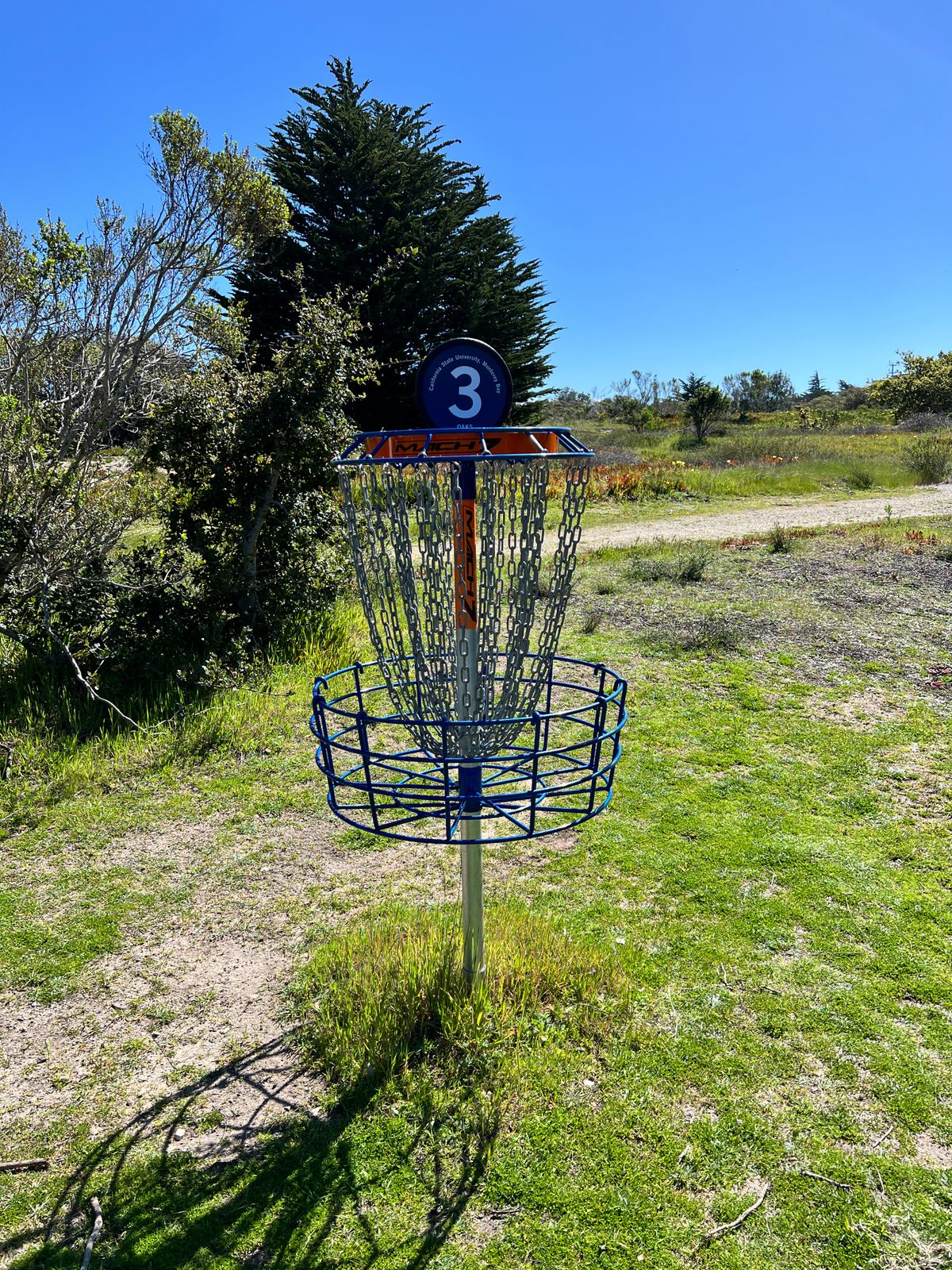 Hole 3's new basket.