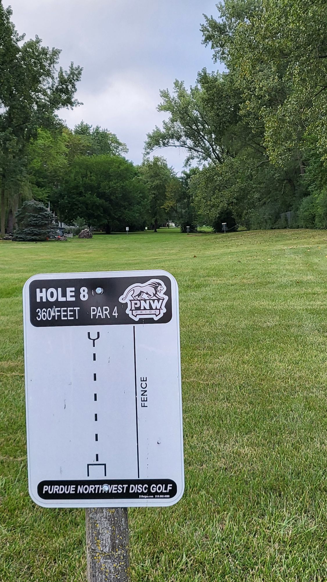 Hole 8. (Left basket)