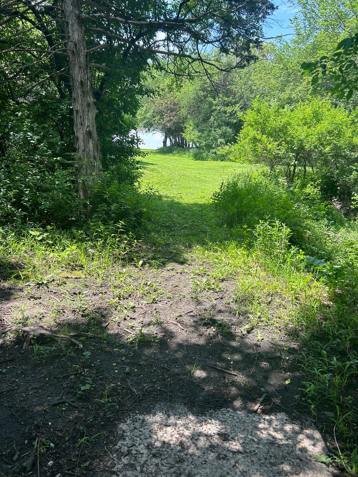 Hole 12