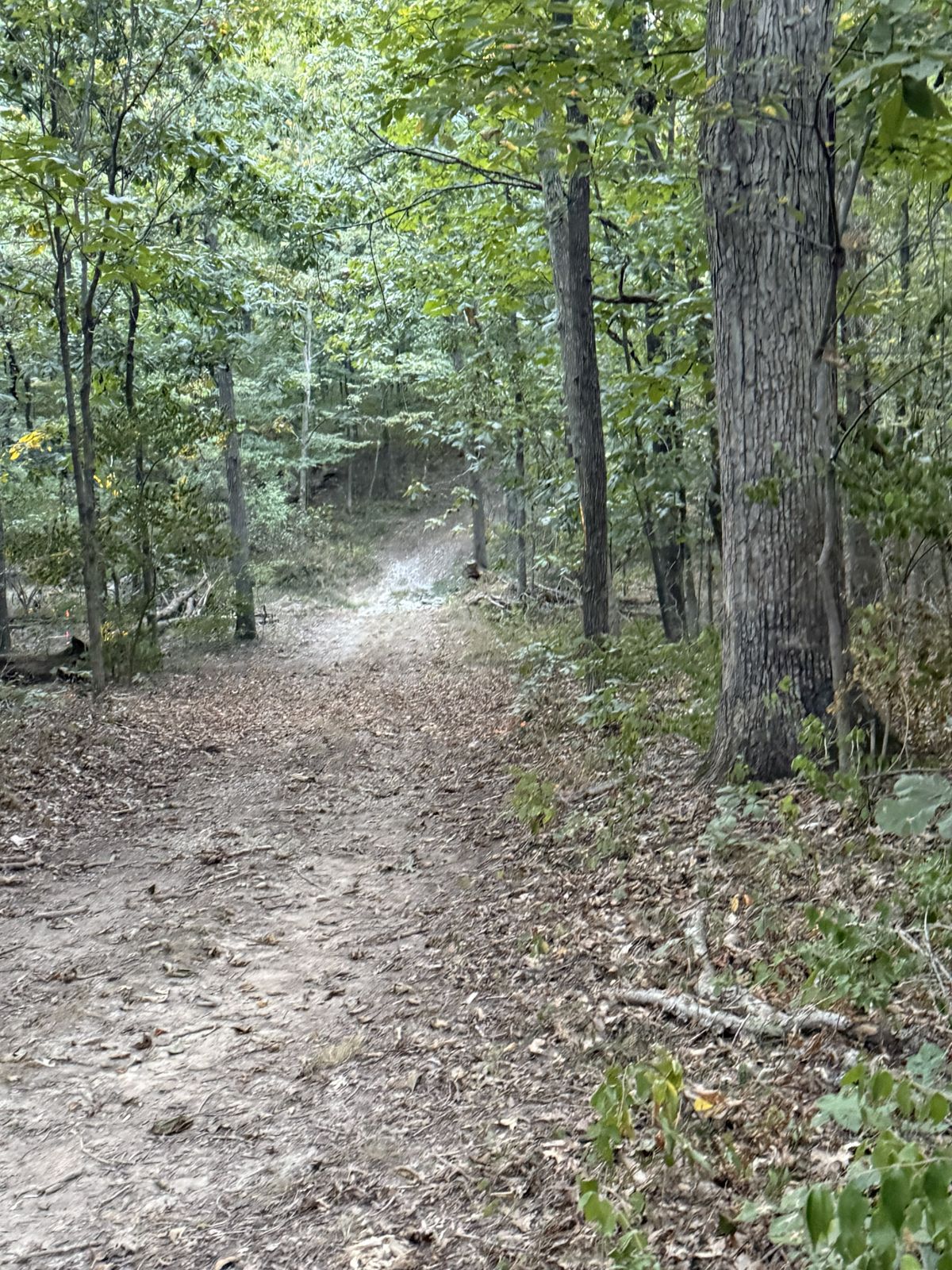 Hole 13 from Blue Tee