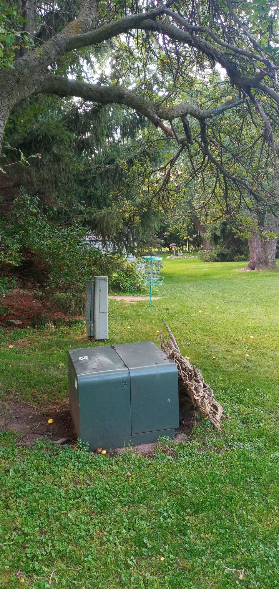 Hole 4