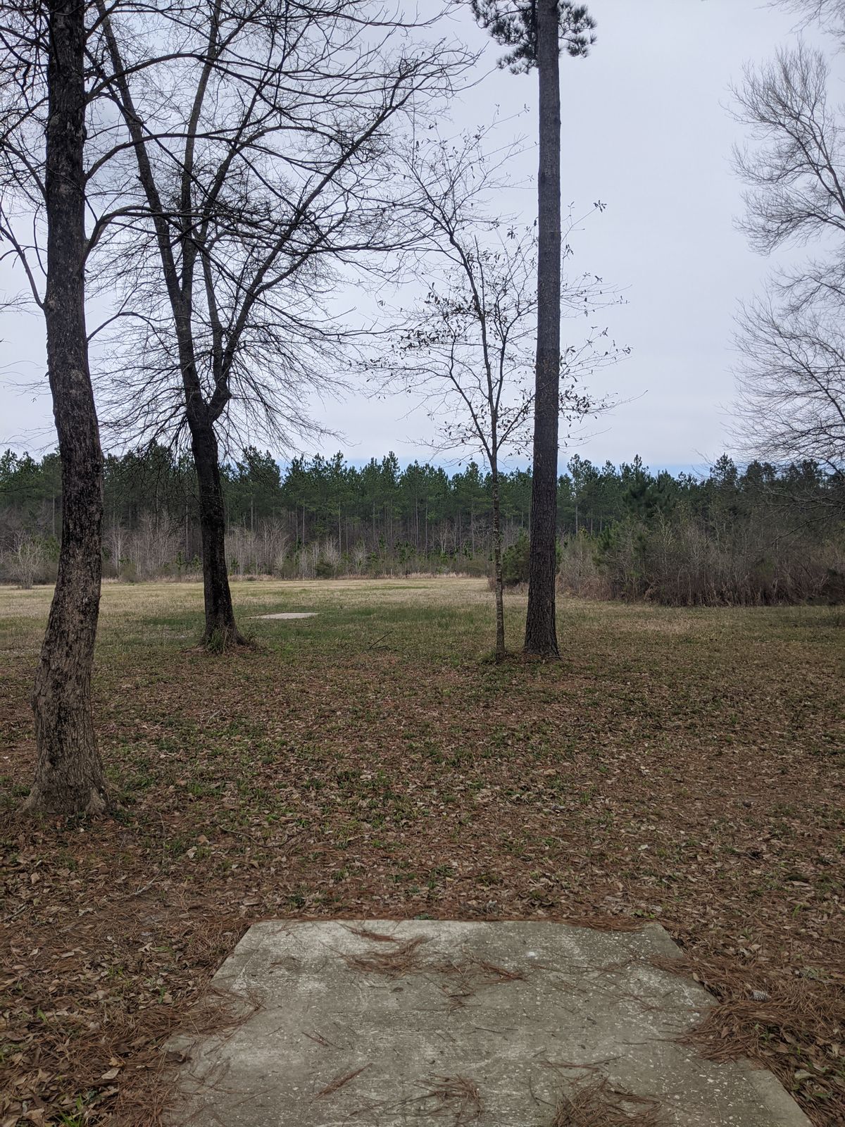 Hole 9 Long Tee
