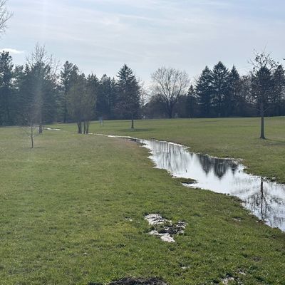 Hole 5