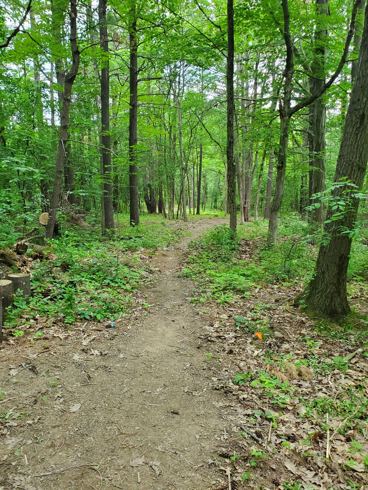 Hole 9 Blue tee.