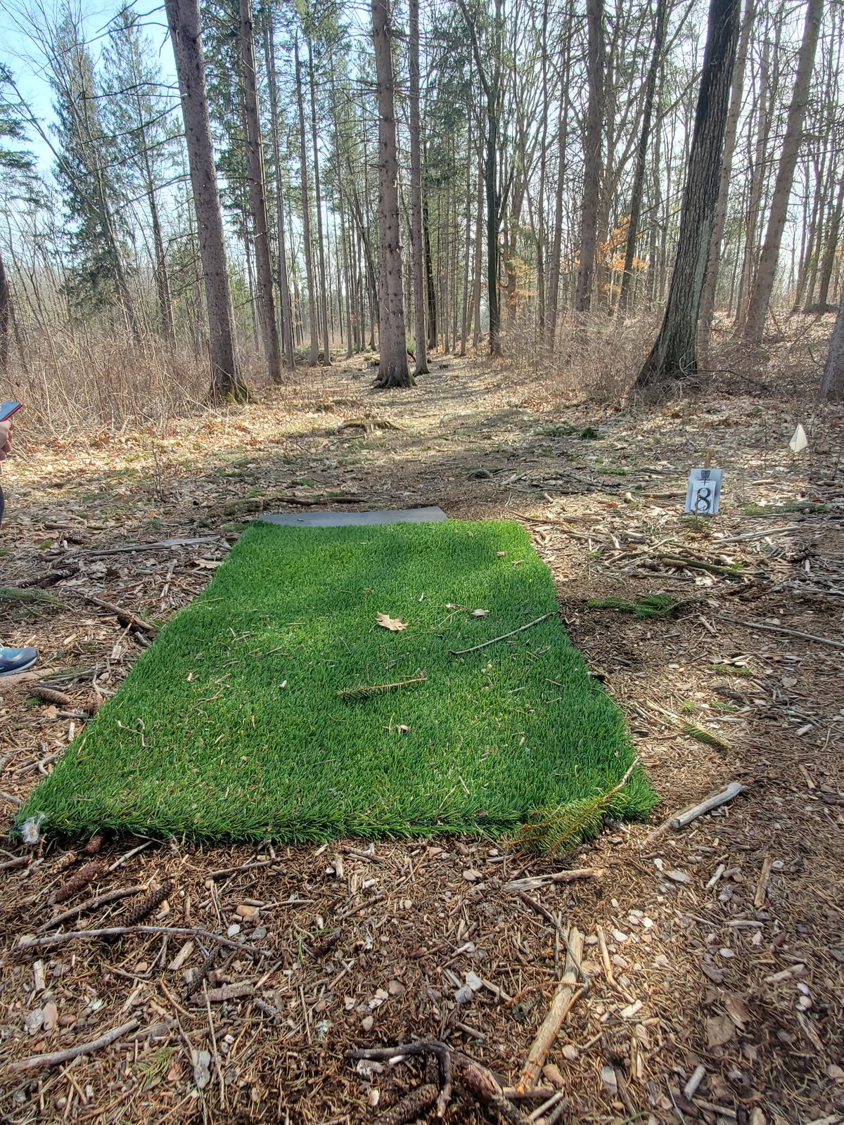 Hole 8 tee pad.