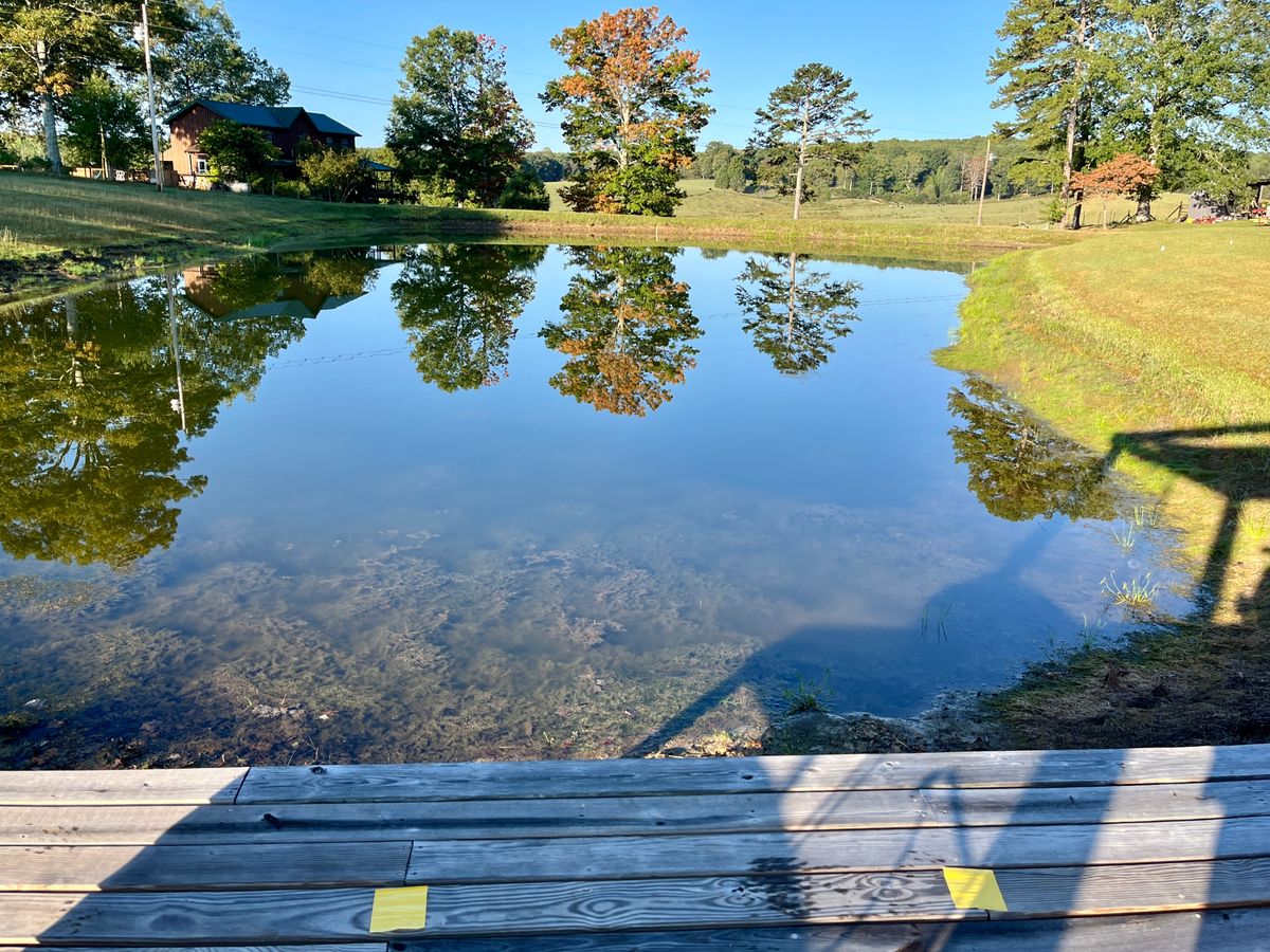 Hole 5 tee pad, water carry, basket over the edge of the backside bank. (Hole 9 in 2024)