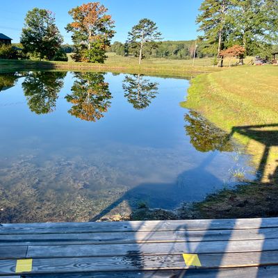 Hole 5 tee pad, water carry, basket over the edge of the backside bank. (Hole 9 in 2024)