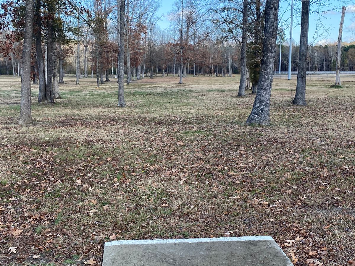 Hole 11 long pad