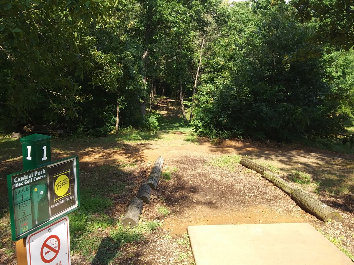 #1 , Yellow straight ahead, red is a short shot to the right.