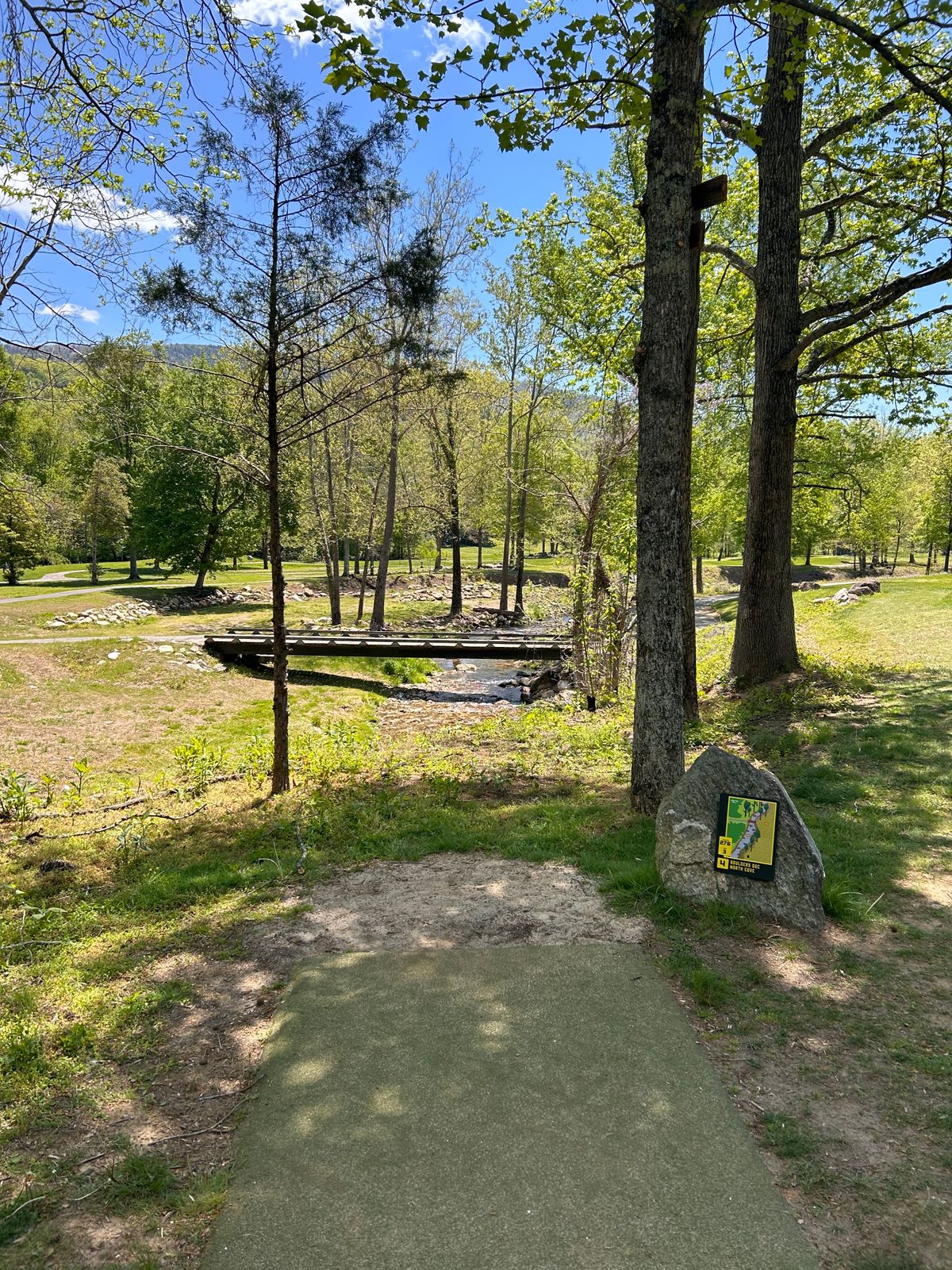 Hole 4 tee