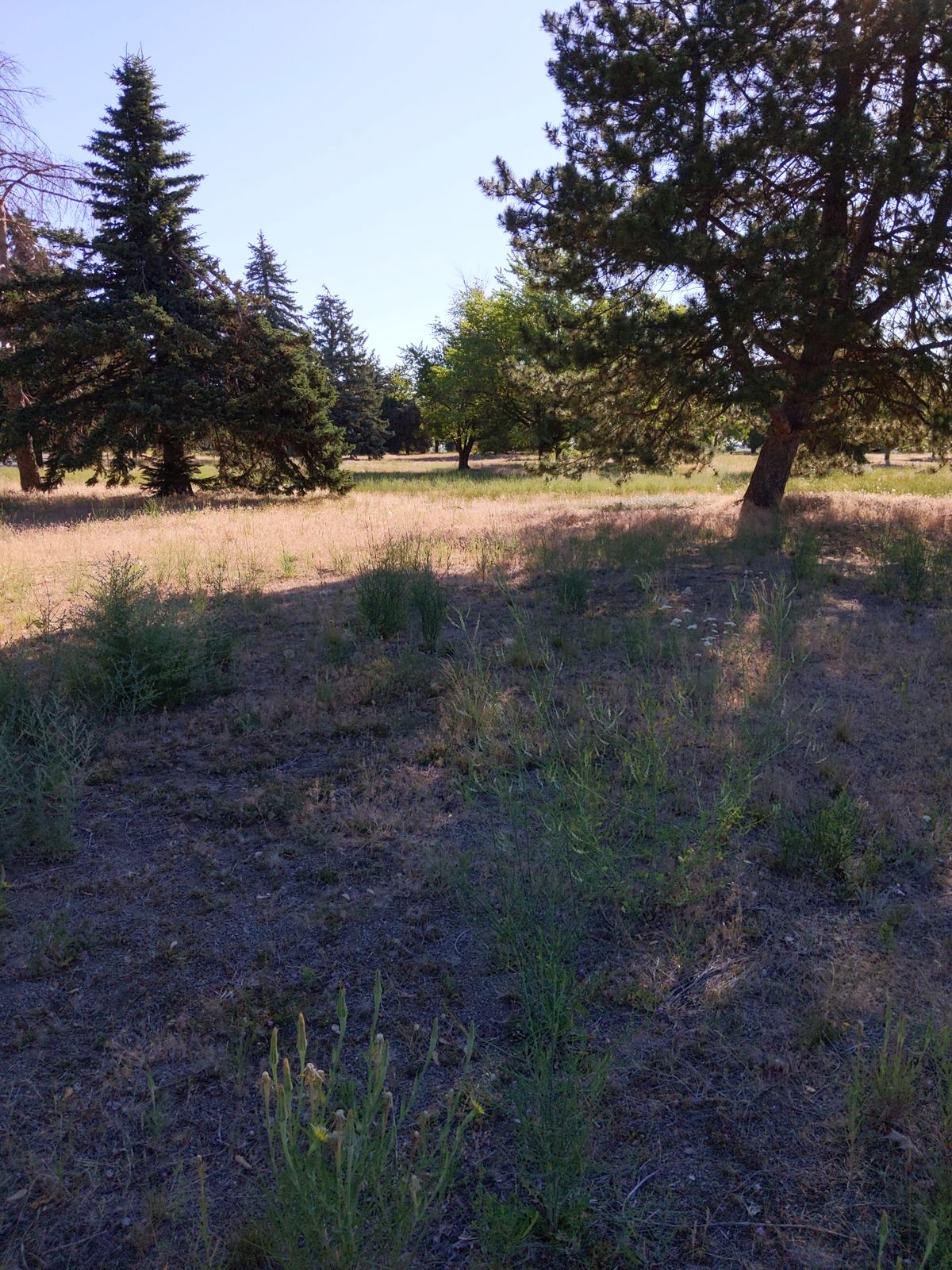 Part of hole 1