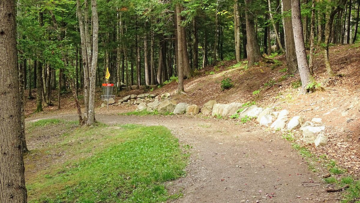 Hole 8 Falcon - just above the pond