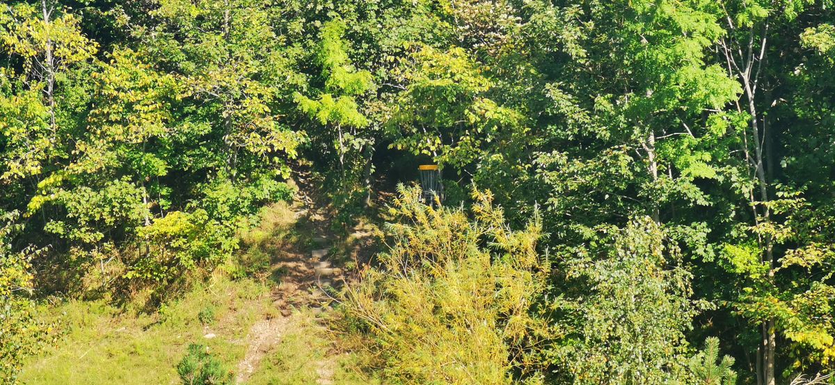 Green hole 2