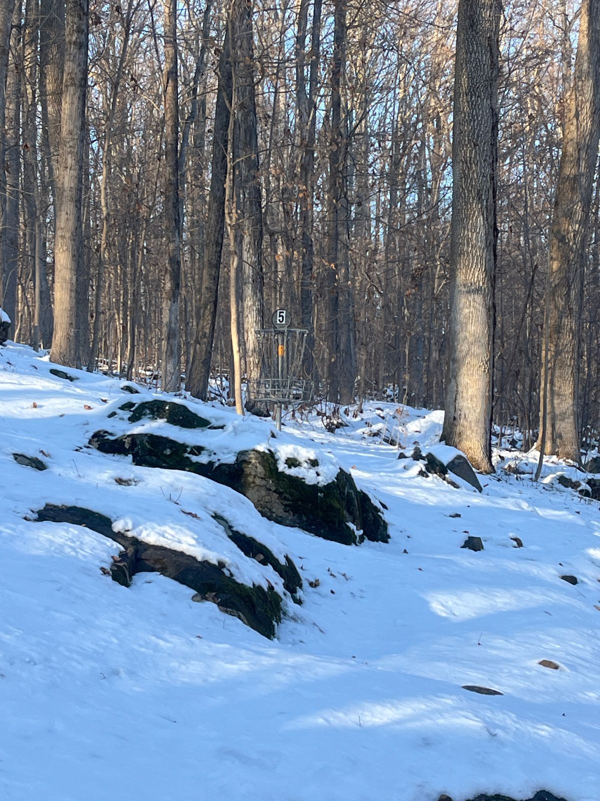 Hole 5, in the snow