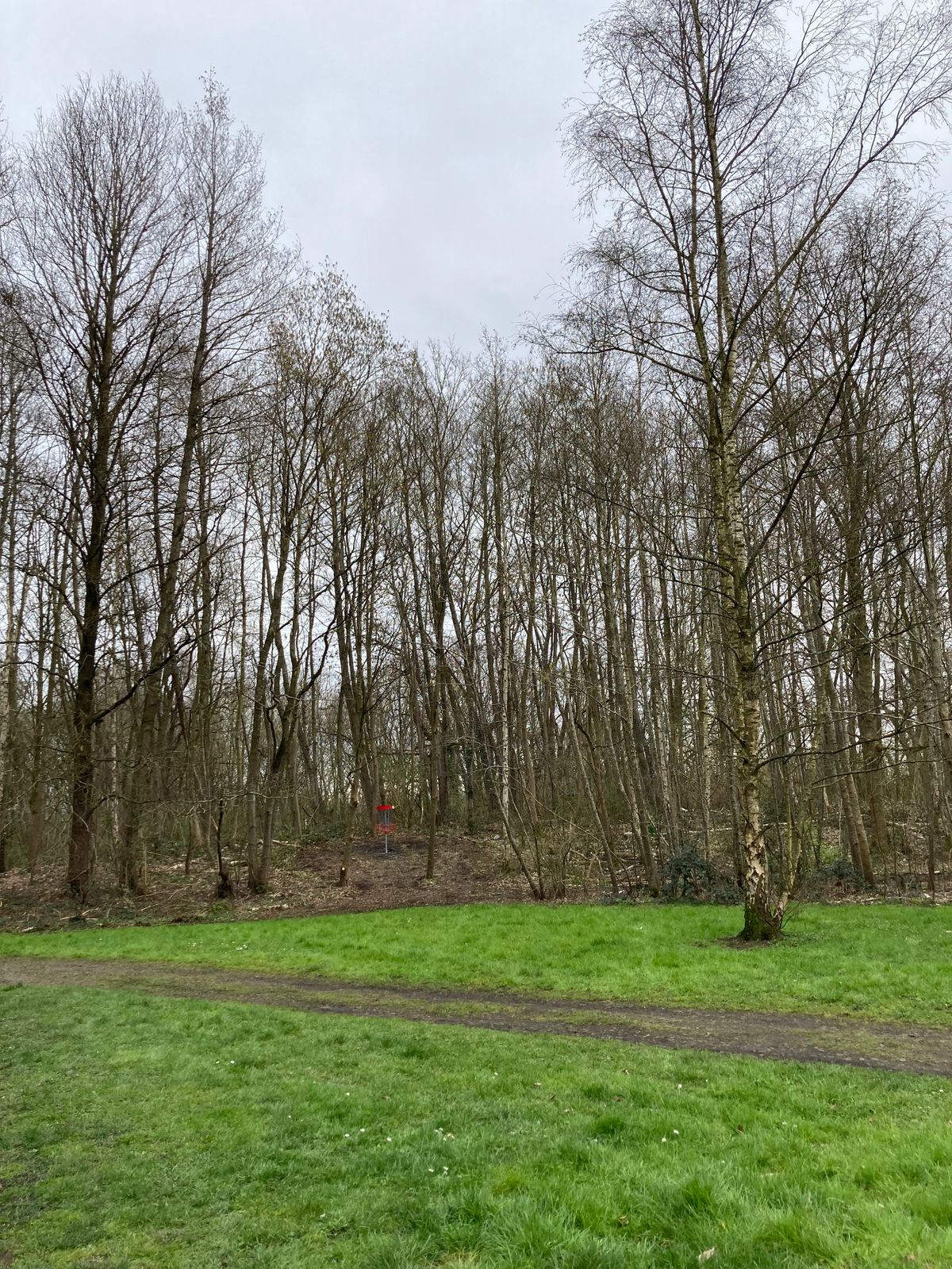 Hole 3