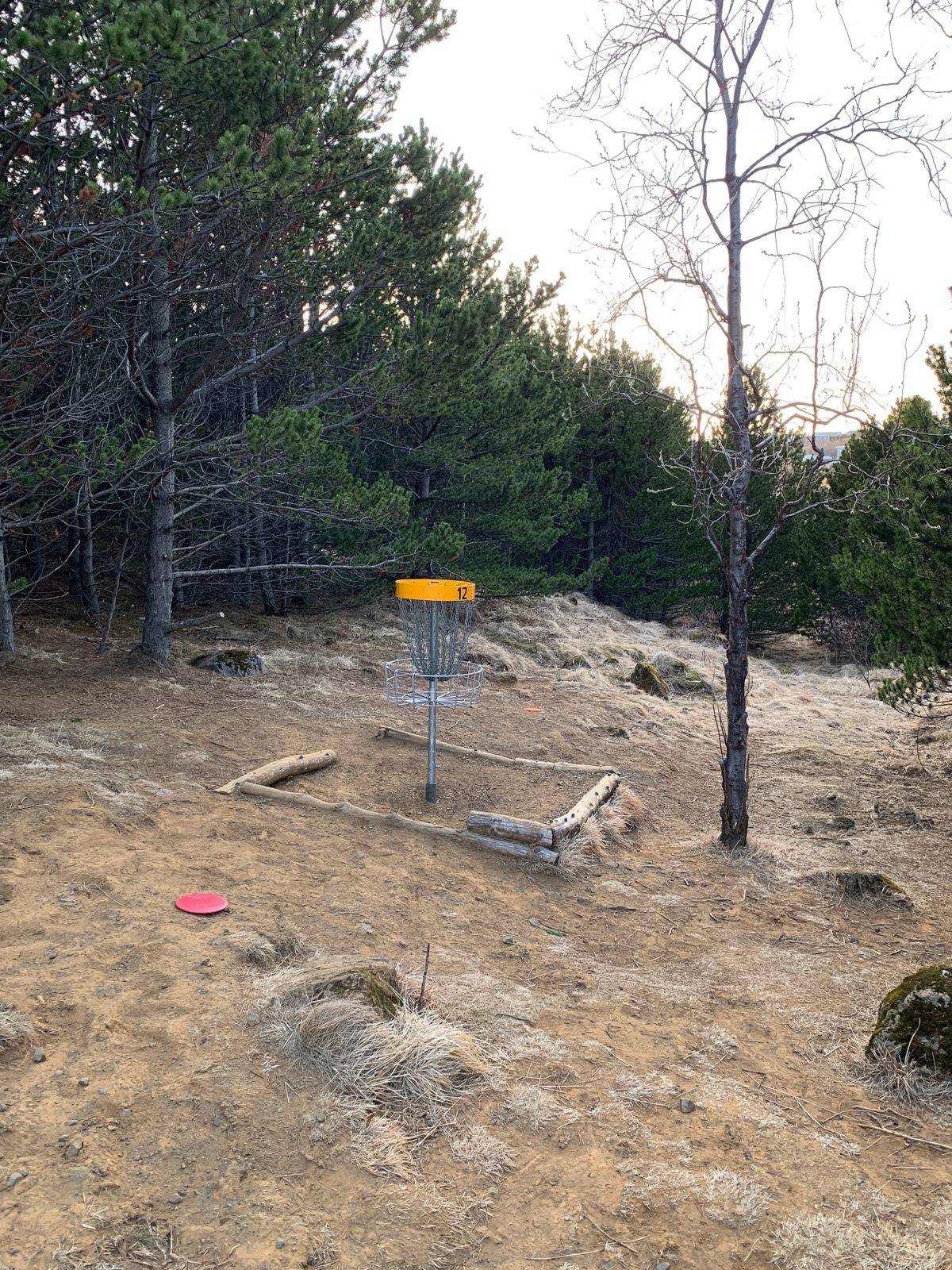 Hole 12