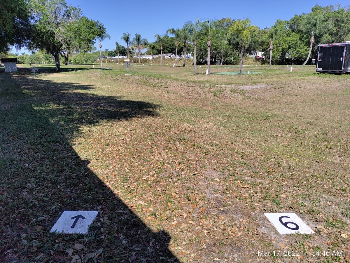 Tee Pad 6