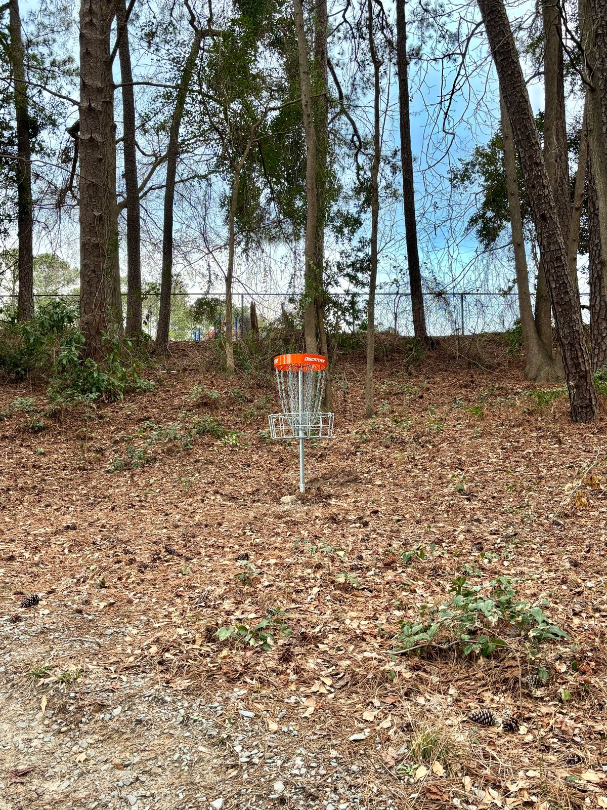 Hole 8 Basket