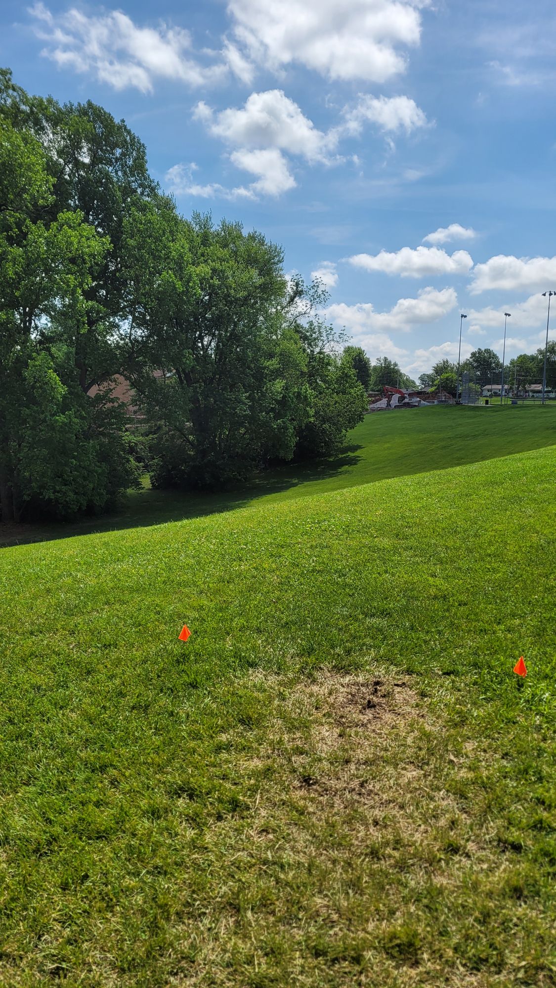 Hole 11 - open shot, down hill, with the basket slightly left.