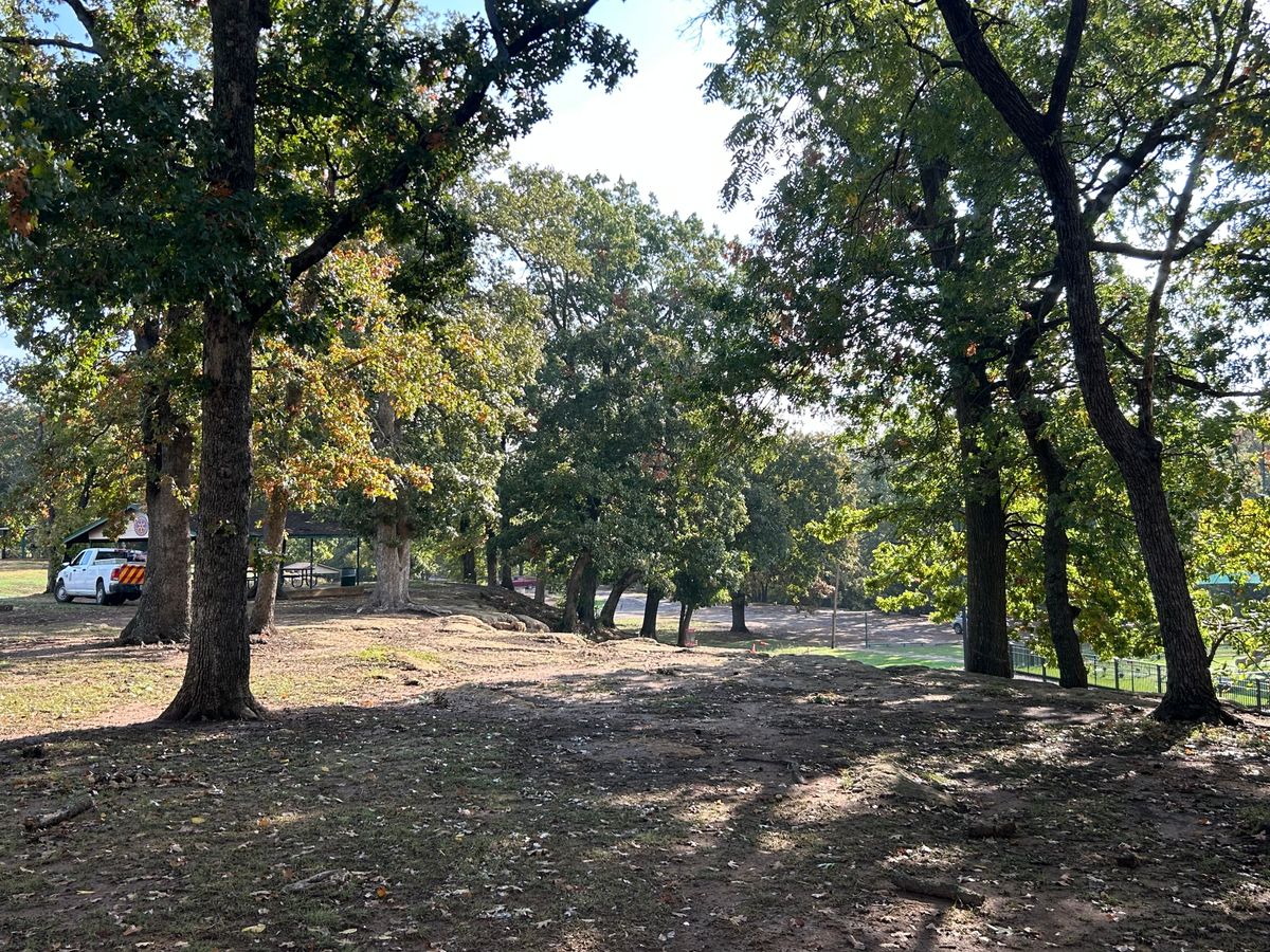 Hole 2 basket
