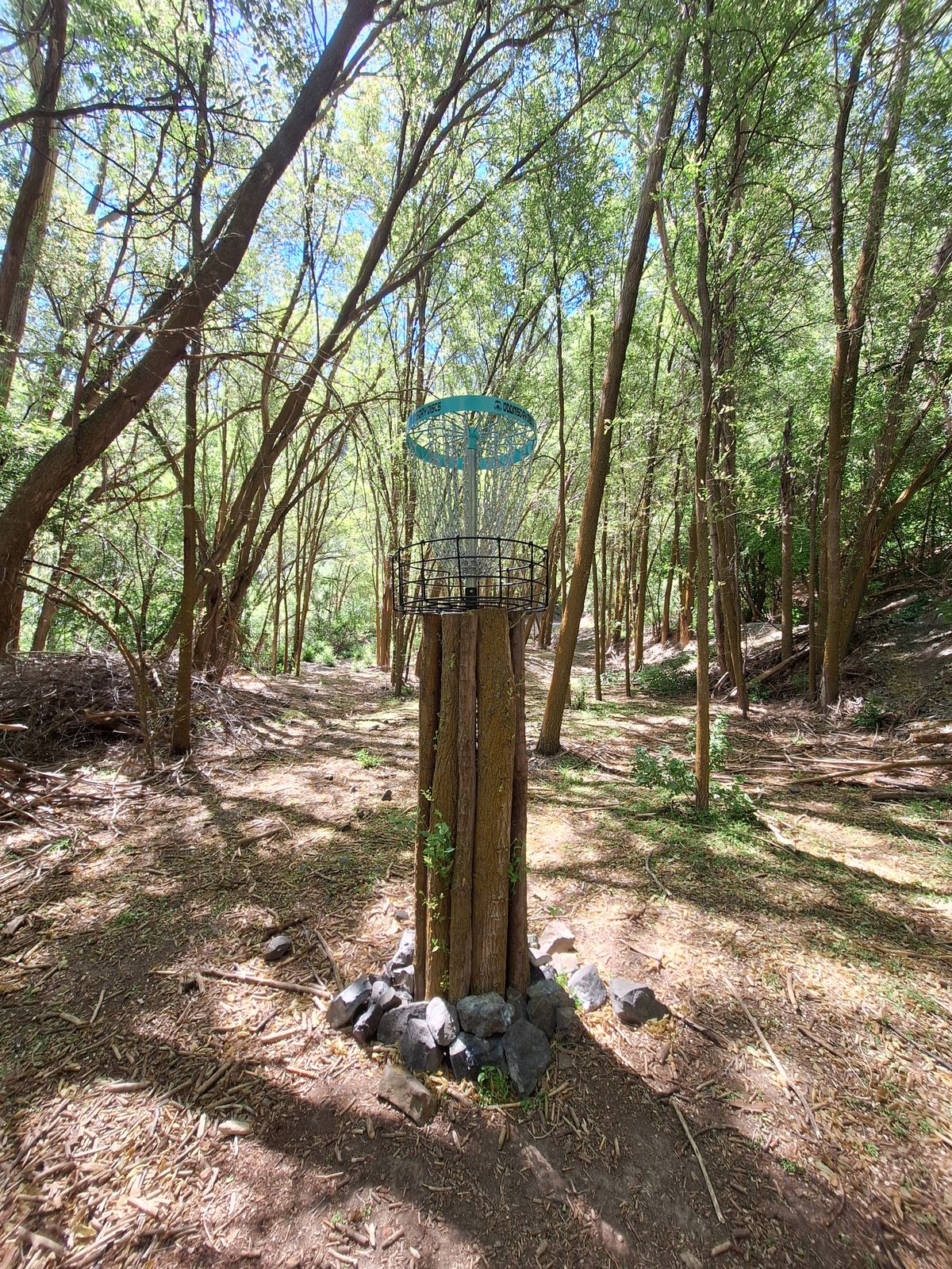 Hole 15