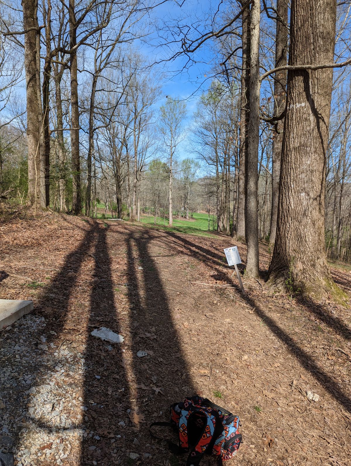 Hole 8, long tee