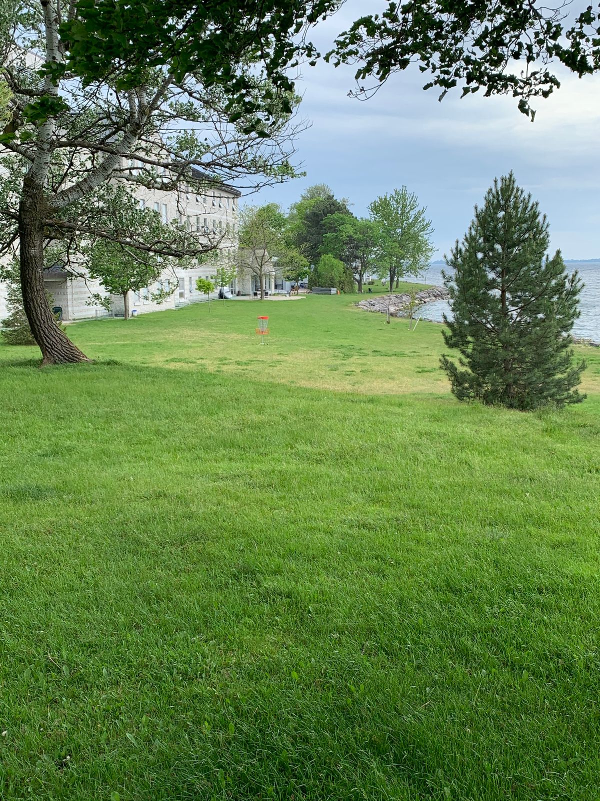 Hole 5 basket