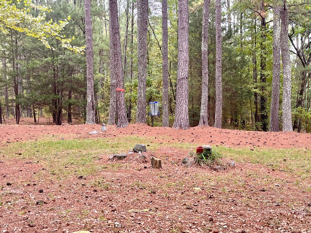 Hole 1 Basket