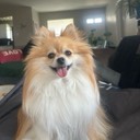 User avatar image