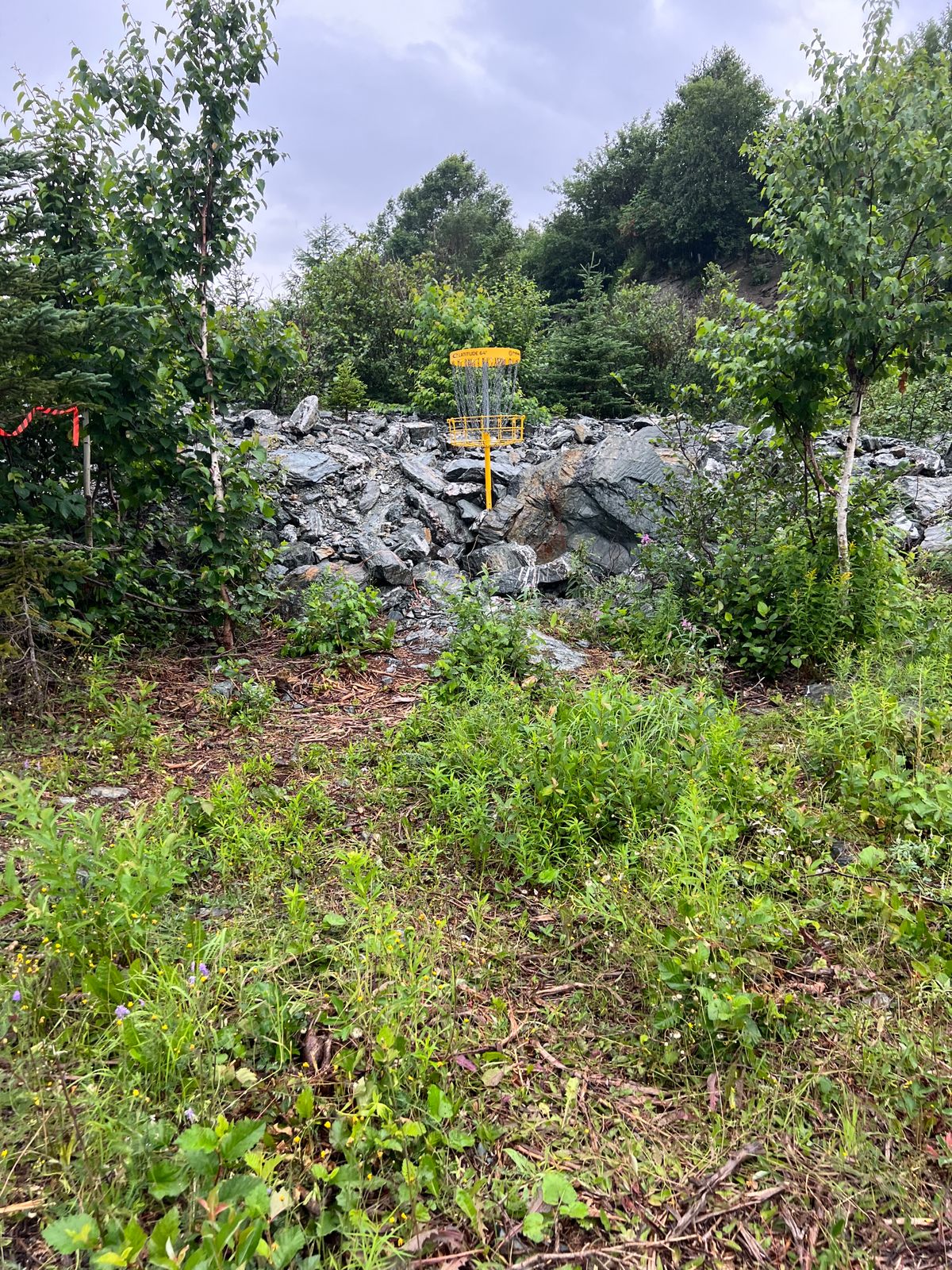 Hole 10B Basket