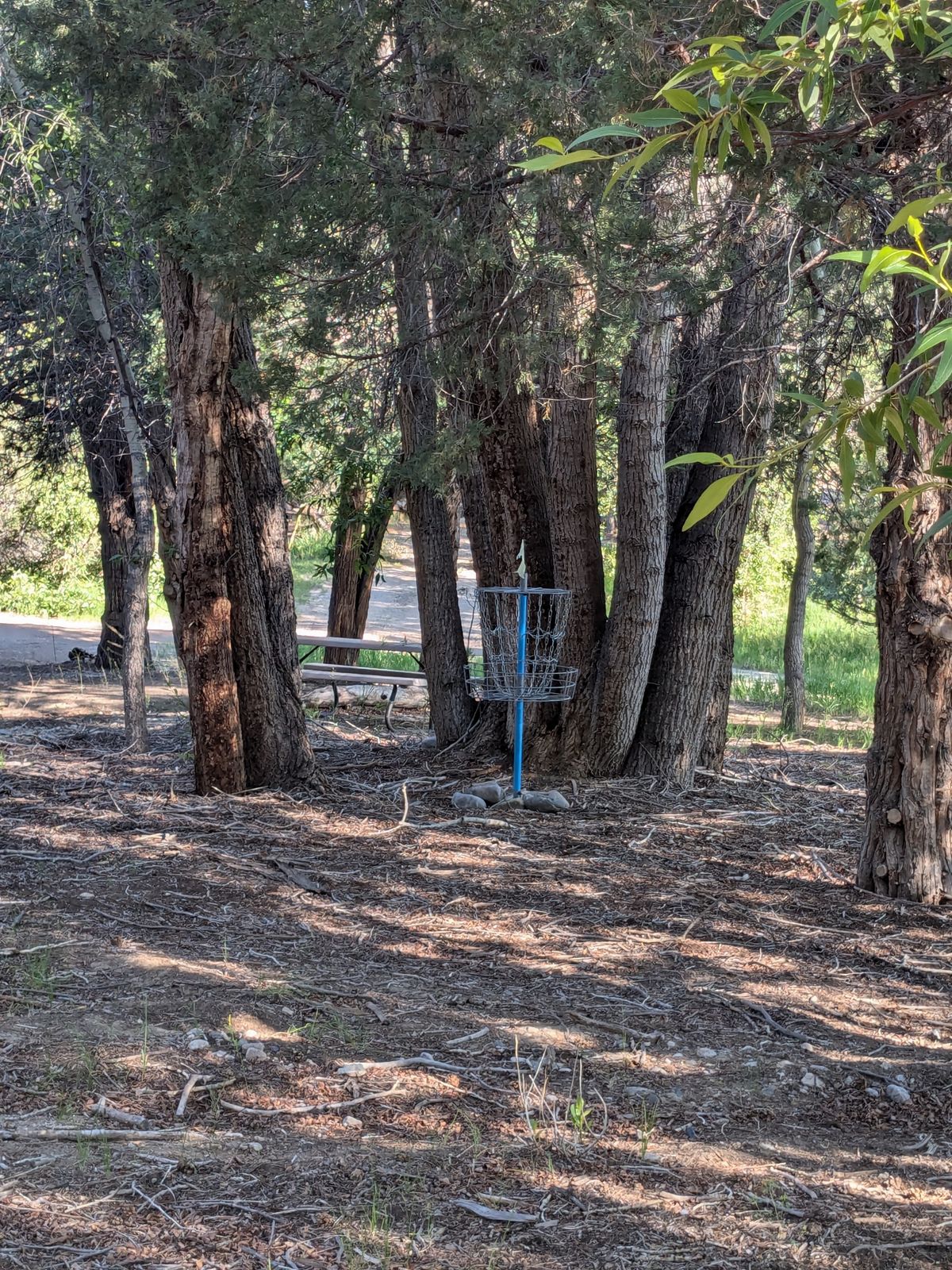 Hole 5