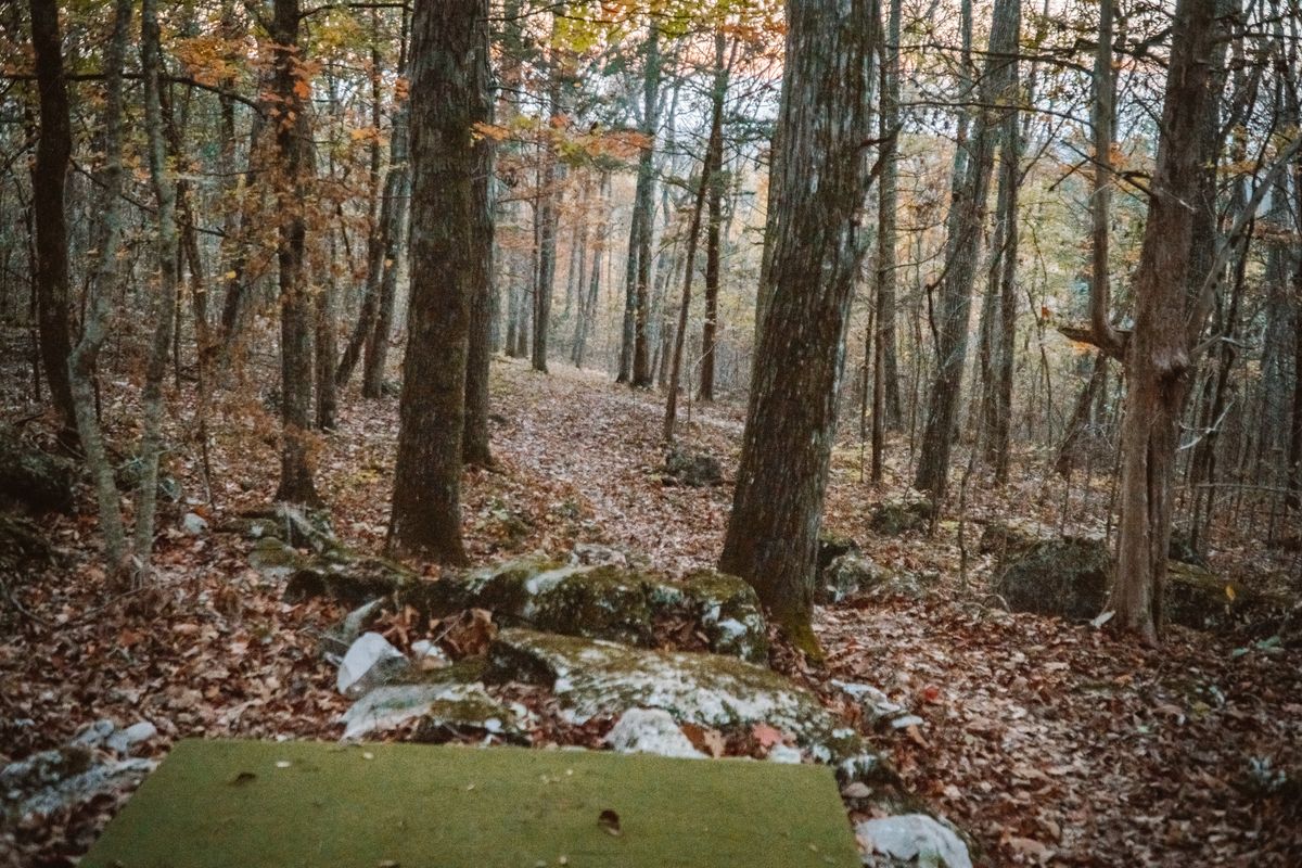 Tee Pad