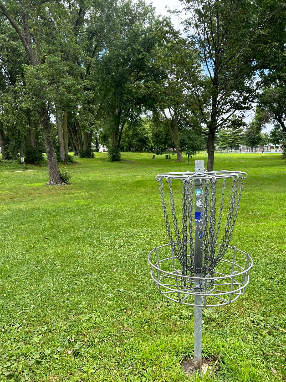 Hole 2 basket looking back towards teepad