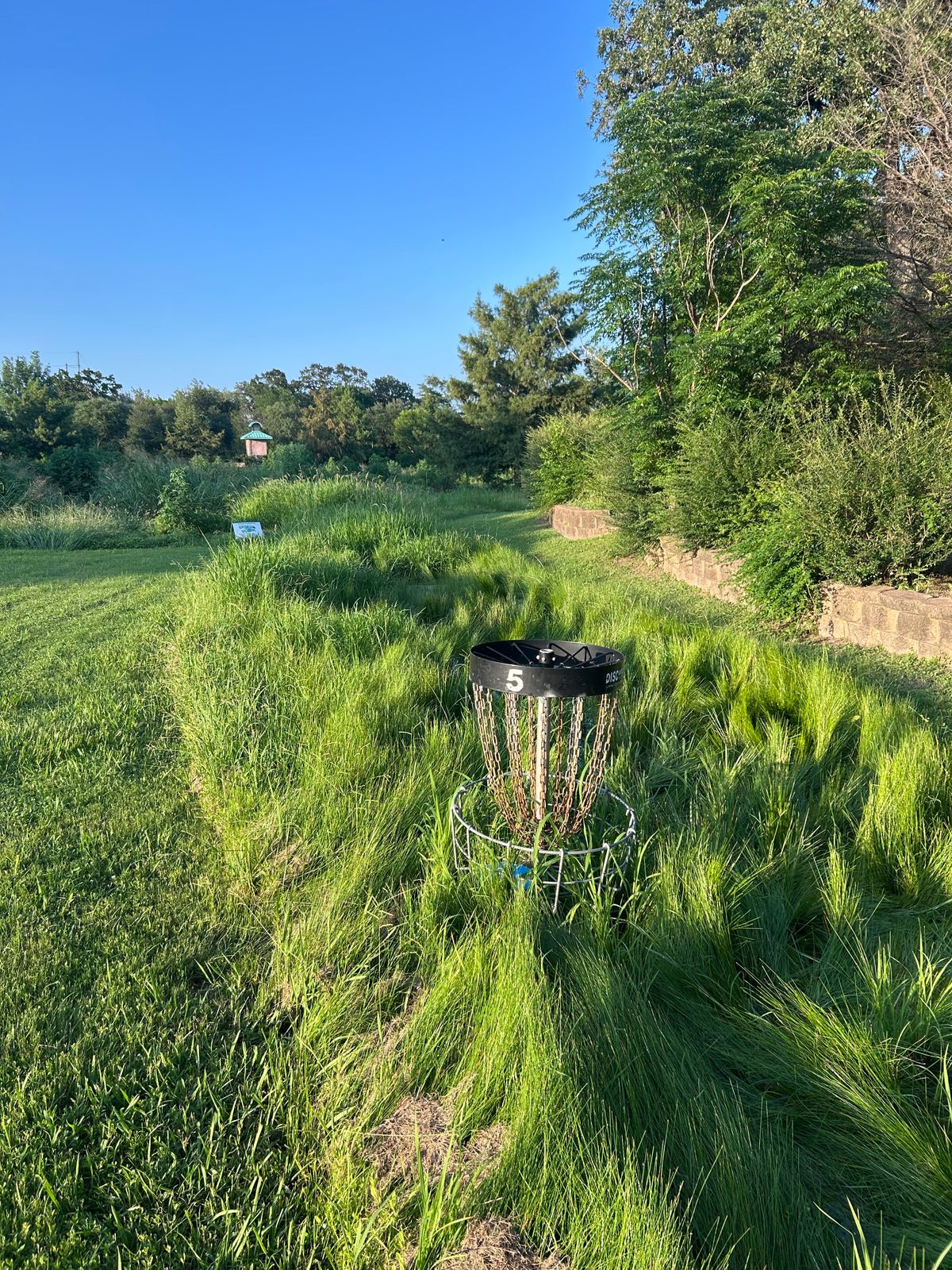 Hole 5 taken over by grow zone