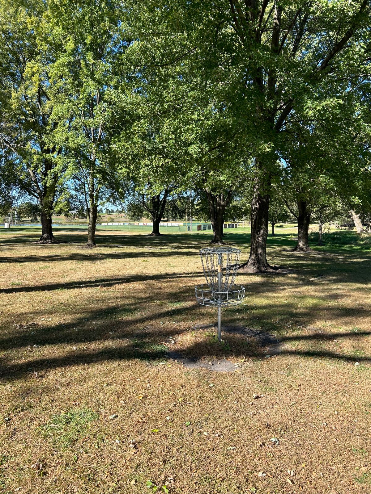 Hole 4 basket looking back toward the teepad