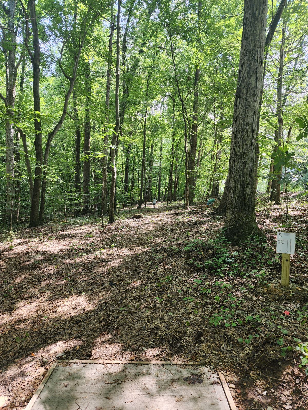 Hole 5 tee