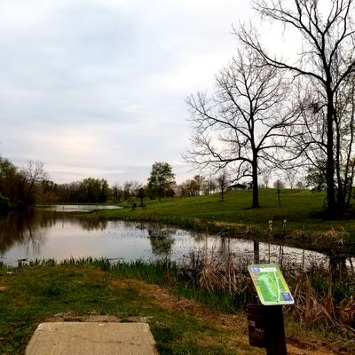 Hole 4 (DGPT) layout.