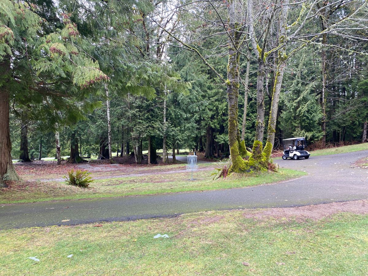 Hole 11 ‘Lummi island’ green